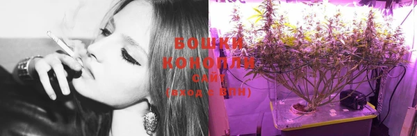 молекула духа Верея