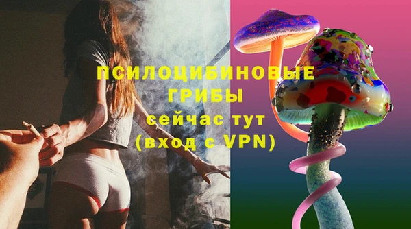трава Верхнеуральск