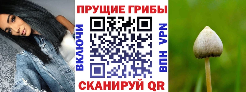 Псилоцибиновые грибы GOLDEN TEACHER  ссылка на мегу сайт  Семёнов 